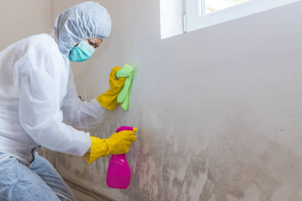 Best Forensic Mold Investigation in USA